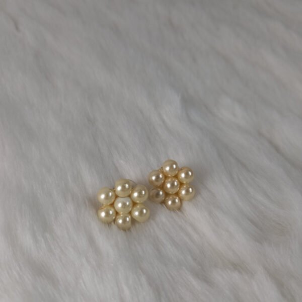 Stone Earrings